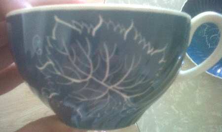 SCO51 Flat Cup