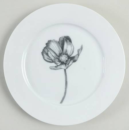 Stella Salad Plate - Set of 4