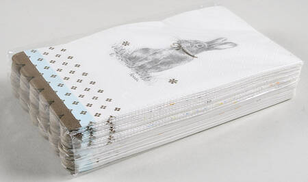 Meadow Lane Package of Paper Guest Dinner Napkins