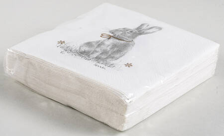 Meadow Lane Package of Paper Beverage Napkins