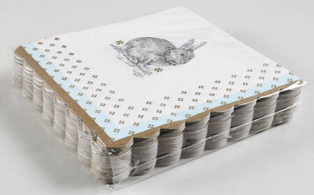 Meadow Lane Package of Paper Luncheon Napkins