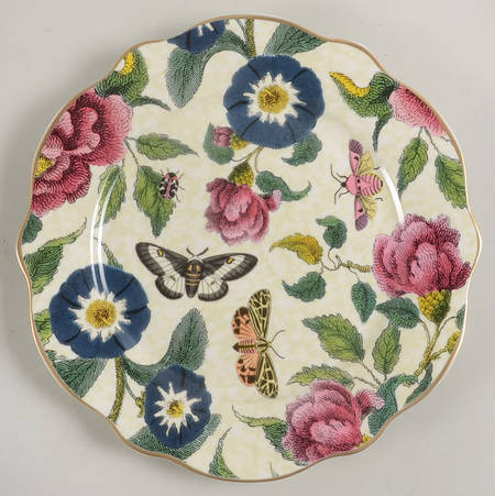 Creatures of Curiosity by Spode