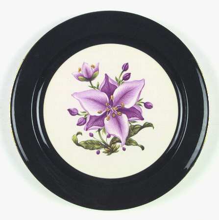 Appalachian Heirloom Bonnie (Gold Trim) by Taylor, Smith &amp; Taylor (Ts&amp;T)