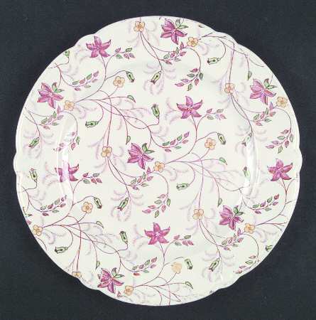 Chelsea Chintz by Taylor, Smith &amp; Taylor (Ts&amp;T)