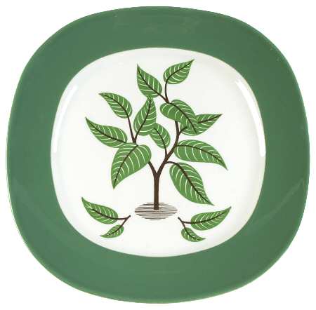 Coffee Tree (Green Rim) by Taylor, Smith &amp; Taylor (Ts&amp;T)