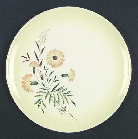 Shasta Daisy by Taylor, Smith &amp; Taylor (Ts&amp;T)