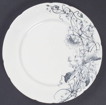 Dahlia by Turner's (England)