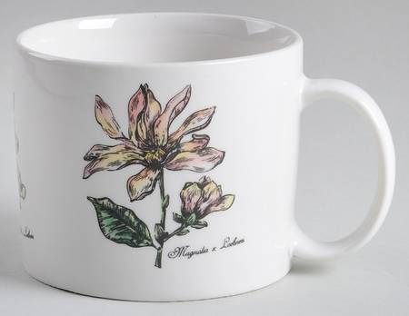 Botanical Gardens Jumbo Mug