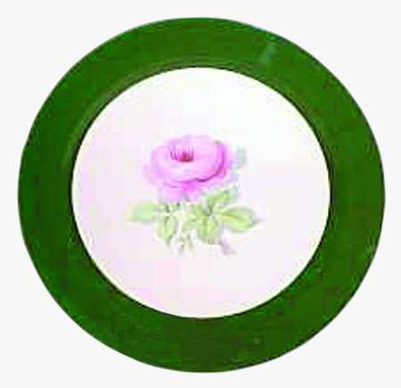 TST355 Dinner Plate