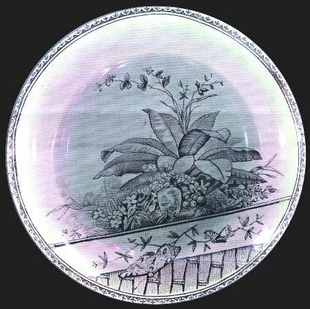Brazil by Turner's (England)