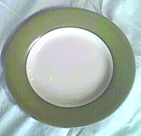 Parizzi Green Dinner Plate