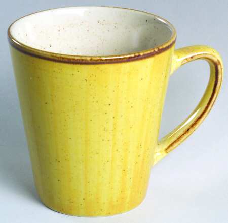 Canyon Mug