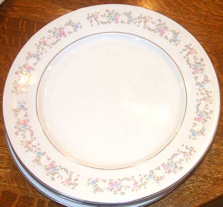 TIM9 Dinner Plate