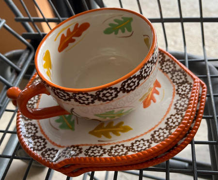 Harvest Flat Cup & Saucer Set