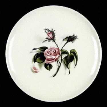 Moss Rose (No Trim) by Universal