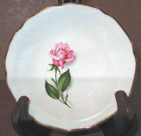 Queen of Roses by Mount Clemens