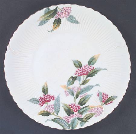 Gloria (Japan) by Victorian (Japan)