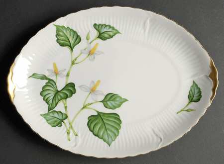 Nola (Japan) 12" Oval Serving Platter