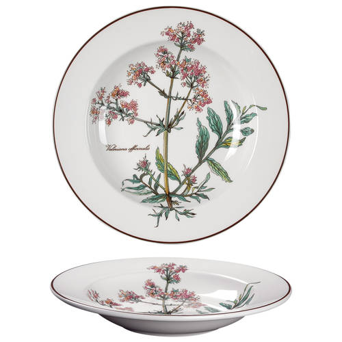 Botanica Rim Soup Bowl