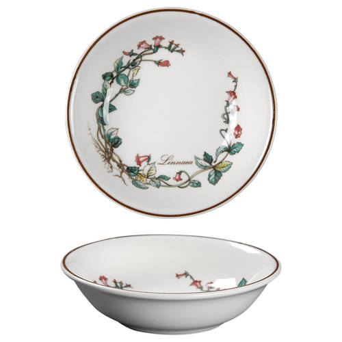 Botanica Fruit/Dessert (Sauce) Bowl