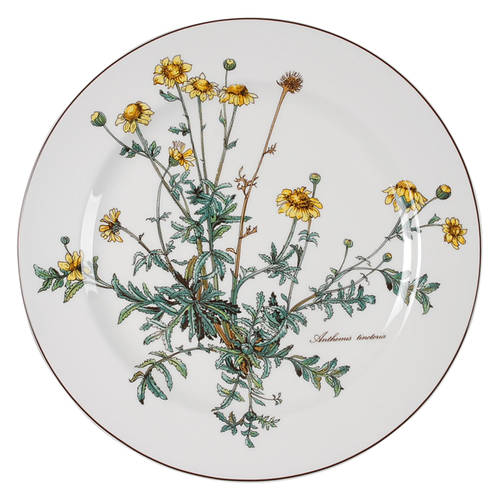 Botanica Dinner Plate