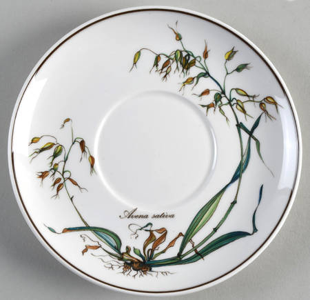 Botanica Saucer for Oversized Cup