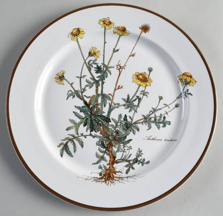 Botanica Dinner Plate