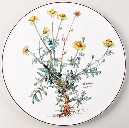 Botanica Cake Plate