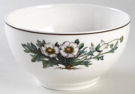 Botanica Rice Bowl
