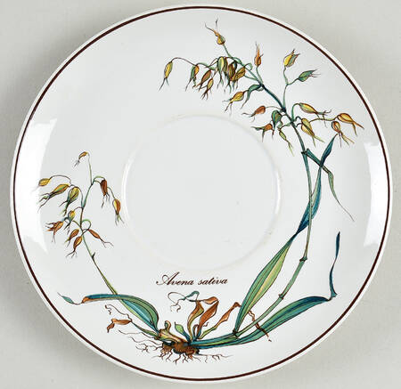 Botanica Saucer for Oversized Cup