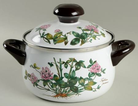 Botanica 1.5 Quart Metal Stew Pot & Lid