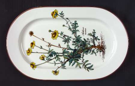 Botanica 13" Oval Serving Platter