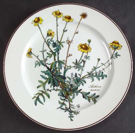 Botanica Luncheon Plate