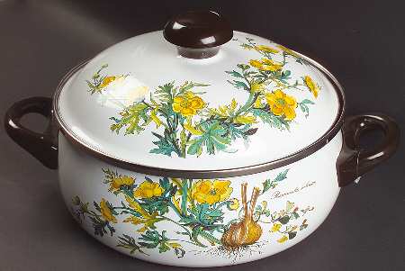 Botanica 5 Quart Metal Stew Pot