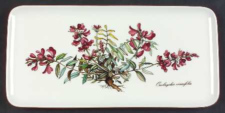 Botanica Small Sandwich Tray