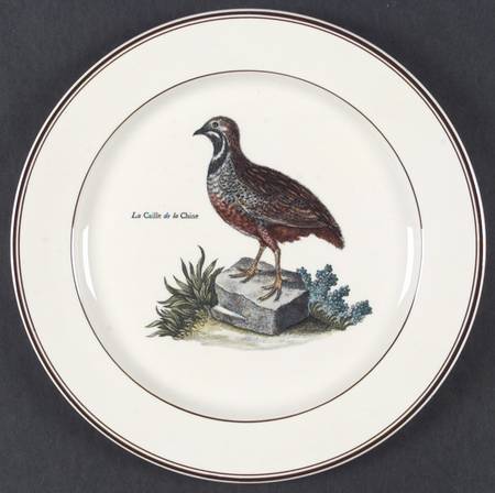 Paradiso (Brown Trim &amp; Band) by Villeroy &amp; Boch