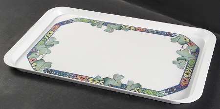 Pasadena Plastic Rectangular Tray by Villeroy & Boch
