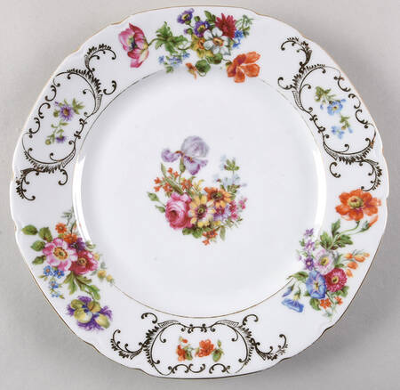VIT21 (CZECH) Dinner Plate