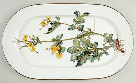 Botanica 17" Oval Serving Platter
