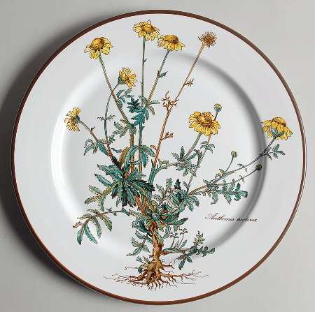 Botanica Luncheon Plate