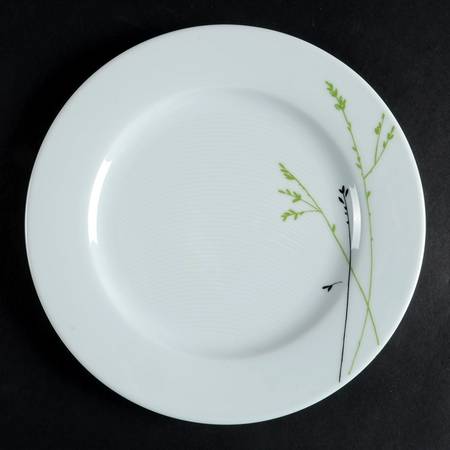 Zen Salad/Dessert Plate by Vista Alegre