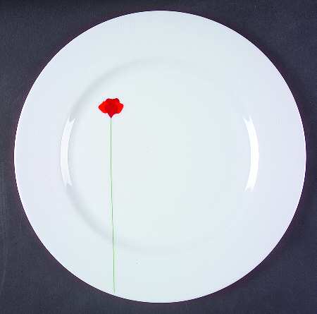 Poppy Papoilas by Vista Alegre