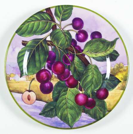 VDI1 Salad Plate