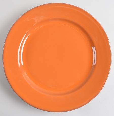 Terra Dinner Plate