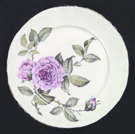 Venetian Rose Platinum by Warwick