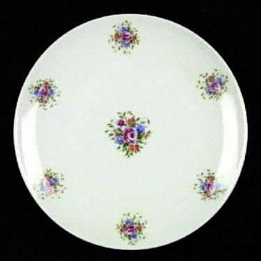 WIG110 Dinner Plate