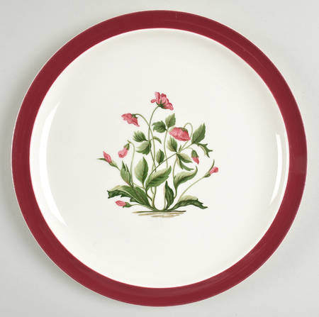 Mayfield Ruby by Wedgwood