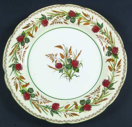 W3017 by Wedgwood