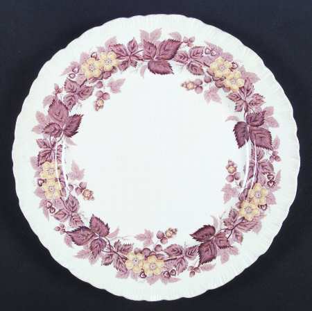 Wildbriar Brown Yellow by Wedgwood