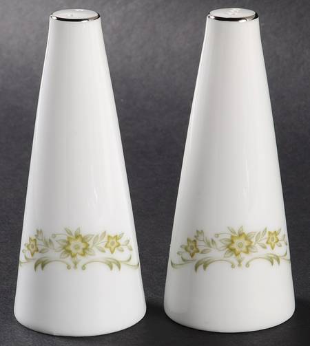 Aurora Salt & Pepper Set